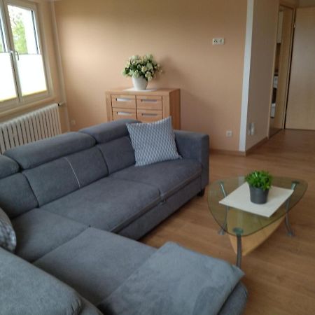Ferienwohnung Kreuzgasse 巴特弗兰肯豪森 外观 照片